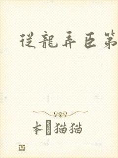 从龙弄臣第一次