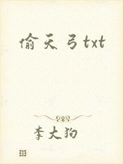 偷天弓txt