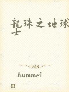 龙珠之地球人战士