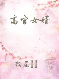 高官女婿