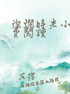 灿烂时光小说免费阅读