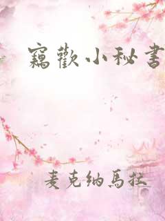 窃欢小秘书