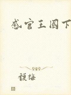 感官王国下载