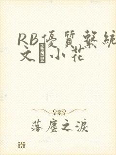 RB优质系统全文寀小花
