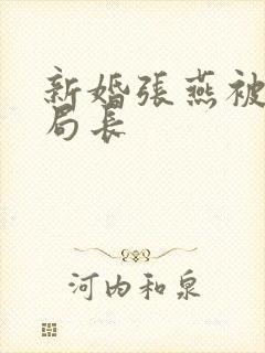 新婚张燕被两个局长