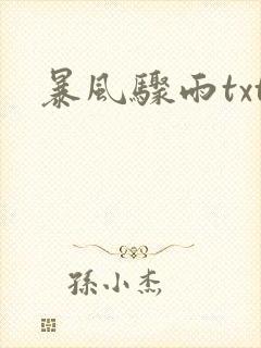 暴风骤雨txt