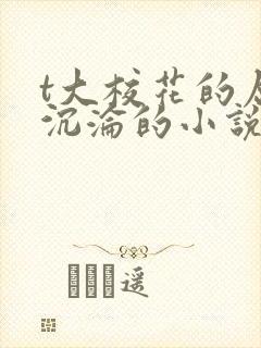 t大校花的屈辱沉沦的小说