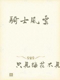 骑士风云