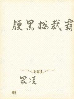 腹黑总裁霸道妻