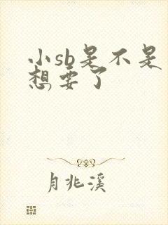 小sb是不是又想要了