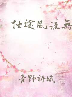 仕途风流无弹窗