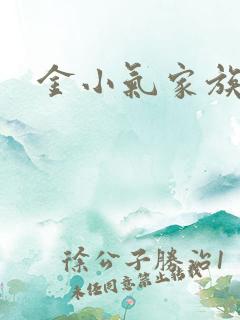 金小气家族小说