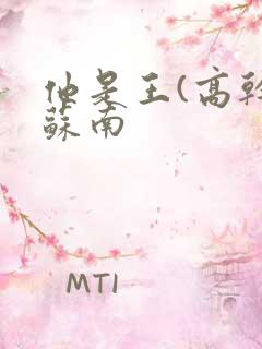 他是王(高干)苏南