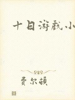十日游戏小说