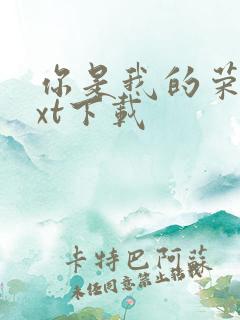 你是我的荣耀txt下载