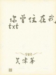 你曾住在我心上txt