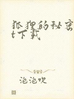 狐狸的秘密txt下载