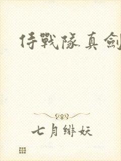侍战队真剑者2