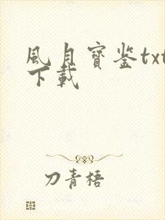 风月宝鉴txt下载