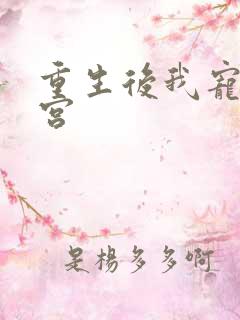 重生后我宠冠东宫