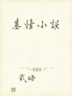 基情小说