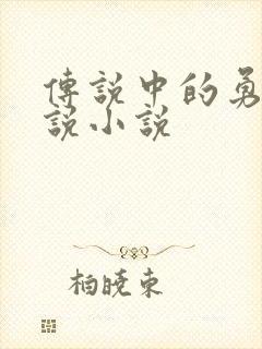 传说中的勇者传说小说