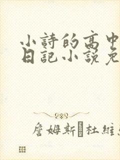 小诗的高中成长日记小说免费阅读