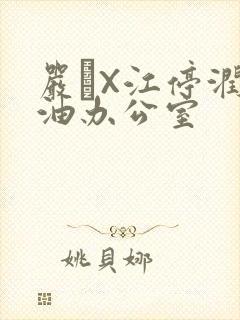 严峫X江停润滑油办公室