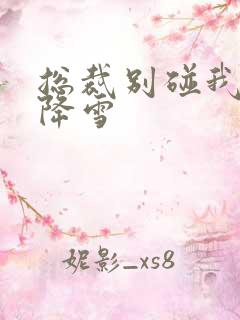 总裁别碰我 韩降雪