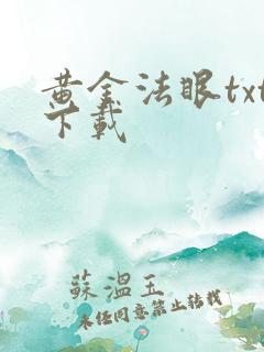 黄金法眼txt下载