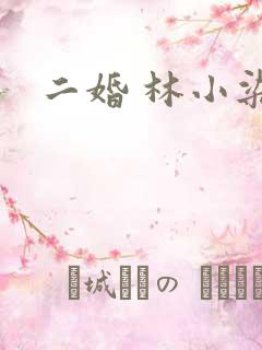 二婚 林小染
