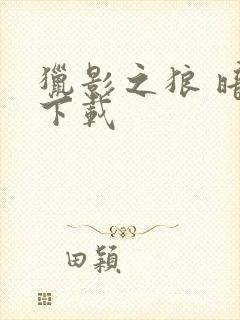 猎影之狼 暗夜下载