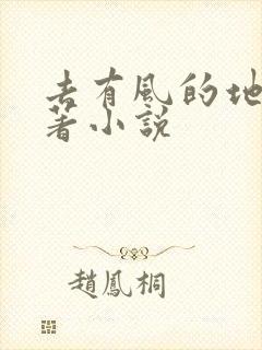去有风的地方原著小说