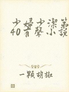 少妇少洁第1一40有声小说