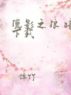 猎影之狼 暗夜下载