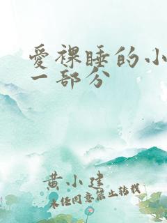 爱裸睡的小丹第一部分