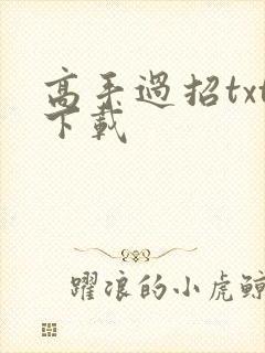 高手过招txt下载