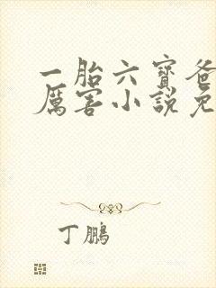 一胎六宝爸比好厉害小说免费阅读