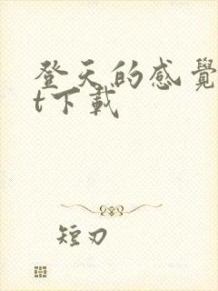 登天的感觉txt下载