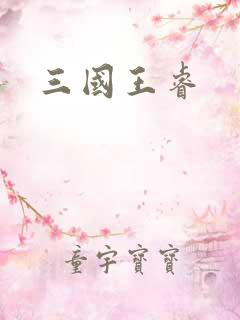 三国王睿