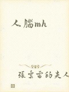 人脑mh