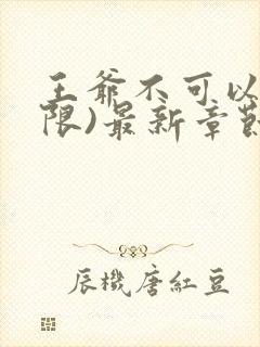 王爷不可以!(限)最新章节