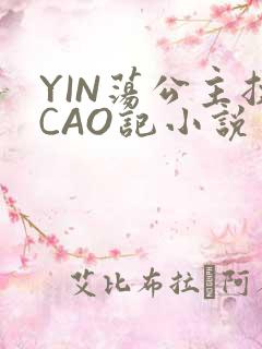 YIN荡公主挨CAO记小说