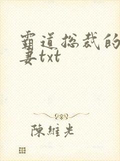 霸道总裁的挂名妻txt