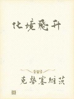 化境飞升