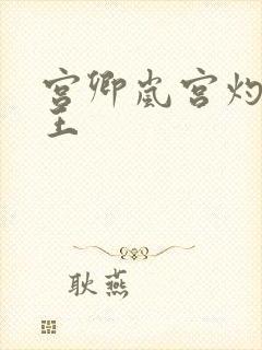 宫卿岚宫灼摄政王