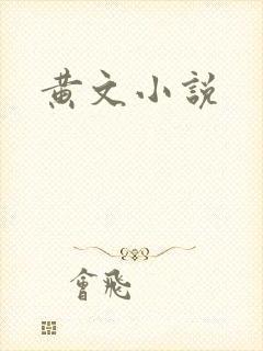 黄文小说