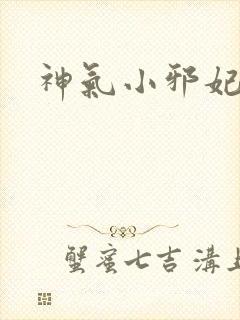 神气小邪妃