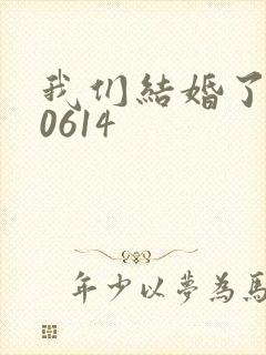 我们结婚了130614