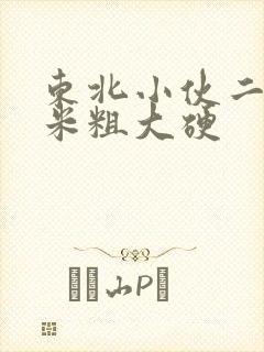 东北小伙二十厘米粗大硬